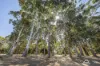 110 Nukklgup Loop, Yallingup, WA 6282-Image