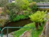 110 Pioneer Drive, Mole Creek, Tas 7304-Image