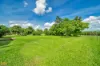 110 River Avenue, Mighell, Qld 4860-Image