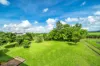 110 River Avenue, Mighell, Qld 4860-Image