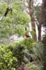 110 Ryans Road, Eltham North, Vic 3095-Image