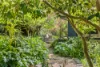 110 Shoreham Road, Red Hill, Vic 3937-Image