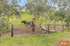 110 Sugar Loaf Road, Williamstown, SA 5351-Image