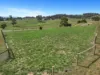 110 Torwood Topiram Road, Hallora, Vic 3818-Image