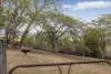 110 Upper Tenthill School Road, Upper Tenthill, Qld 4343-Image