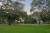 110 Wilding Street, Karrinyup, WA 6018-Image