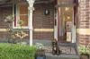 111 Blyth Street, Brunswick, Vic 3056-Image