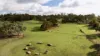 111 Colin Street, Cuballing, WA 6311-Image