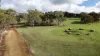 111 Colin Street, Cuballing, WA 6311-Image