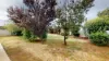 111 Dappo Road, Narromine, NSW 2821-Image
