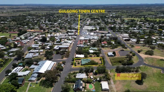 111 Herbert Street, Gulgong, NSW 2852-Image
