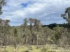 111 Port Macquarie Road, Bogee, NSW 2849-Image