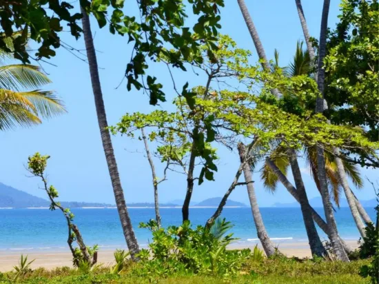 111 Reid Road, Wongaling Beach, Qld 4852-Image