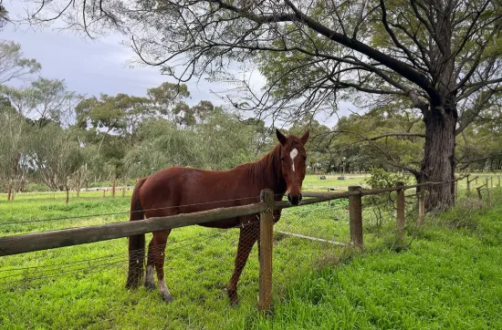 111 Ryelands Drive, North Boyanup, WA 6237