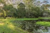 111 Timbara Road, Pomona, Qld 4568-Image