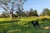 1112 Lovedale Road, Allandale, NSW 2320-Image