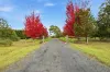 1119 Moe-Willow Grove Road, Willow Grove, Vic 3825-Image
