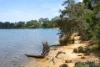 111A Welwyn Avenue, Salter Point, WA 6152-Image