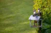 112-114 Blackall Range Road, Woombye, Qld 4559-Image