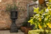 112 Arthur Street, Surry Hills, NSW 2010-Image