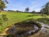 112 Back Creek Road, Pipers River, Tas 7252-Image