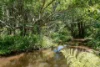 112 Broken Head Road, Newrybar, NSW 2479-Image