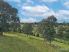 112 Great Alpine Road, Bruthen, Vic 3885-Image