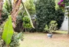 112 High Street, Hunters Hill, NSW 2110-Image
