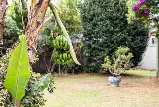 112 High Street, Hunters Hill, NSW 2110-Image