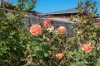 112 Kempton Street, Bluff Point, WA 6530-Image