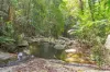 112 Mansfield Street, Earlville, Qld 4870-Image
