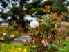 112 Mount Hicks Road, Wynyard, Tas 7325-Image