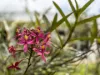 112 North Street, Woorim, Qld 4507-Image