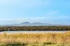 112 Portarlington Road, Newcomb, Vic 3219-Image