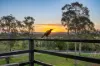 112 Warrack Street, Coolum Beach, Qld 4573-Image