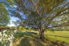 1121 Eumundi - Kenilworth Road, Belli Park QLD 4562-Image