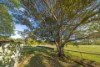 1121 Eumundi - Kenilworth Road, Belli Park QLD 4562-Image