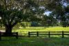 1121 Eumundi - Kenilworth Road, Belli Park QLD 4562-Image