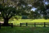 1121 Eumundi - Kenilworth Road, Belli Park QLD 4562-Image