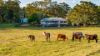 1121 Eumundi - Kenilworth Road, Belli Park QLD 4562-Image