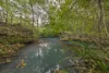 1121 Eumundi - Kenilworth Road, Belli Park QLD 4562-Image
