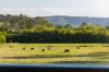 1121 Eumundi - Kenilworth Road, Belli Park QLD 4562-Image