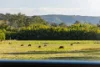 1121 Eumundi - Kenilworth Road, Belli Park QLD 4562-Image