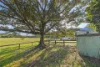 1121 Eumundi - Kenilworth Road, Belli Park QLD 4562-Image