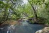 1121 Eumundi - Kenilworth Road, Belli Park QLD 4562-Image