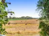 1123 Oakey Biddeston Road, Biddeston, Qld 4401-Image