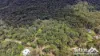 1124 Gaeta Road, Gaeta, Qld 4671-Image