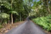 1124 Mackay-Eungella Road, Marian, Qld 4753-Image