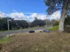 1128 Beechmont Road, Lower Beechmont, Qld 4211-Image