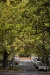 113-115A Chomley Street, Prahran, Vic 3181-Image